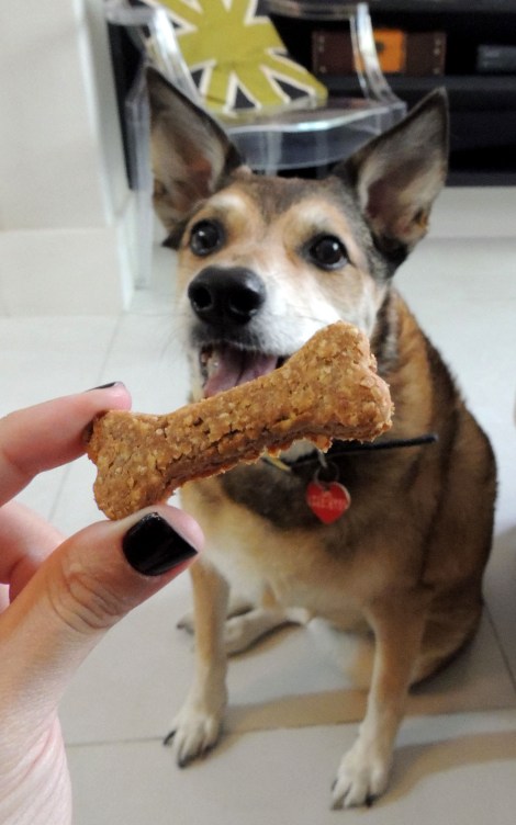 biscoito canino